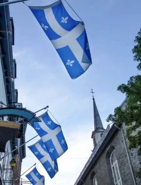Expert Canadian French translation services offered by Lexiwords